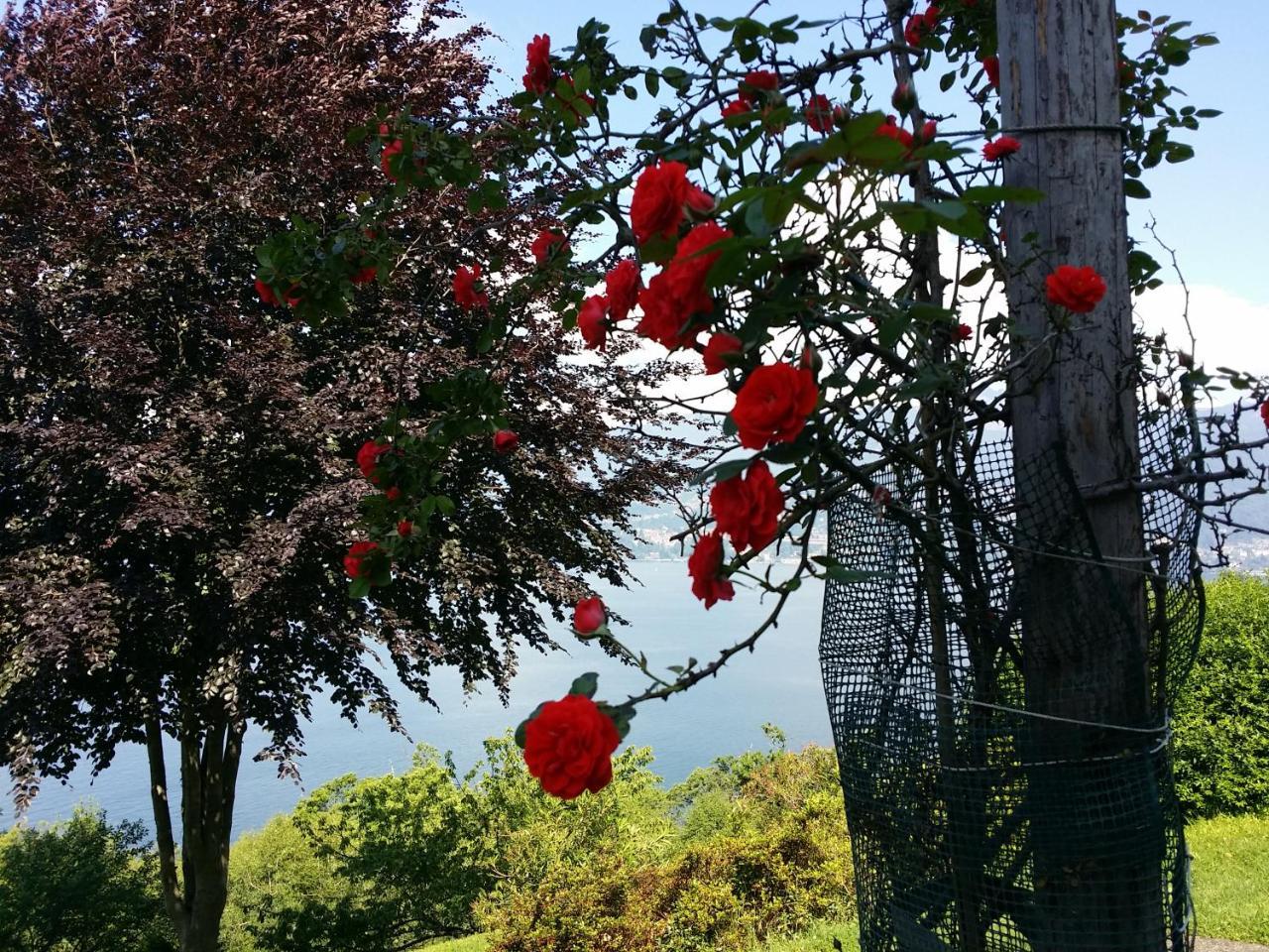 Locanda Pozzetto Laveno-Mombello Exteriör bild